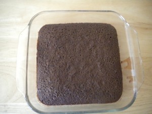 Chocolate-Brownies -- before being Cut