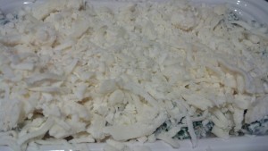 Shredded Mozzarella