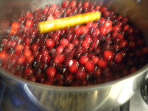 Cranberries and Cinnamon Stick in the Pot ready to cook for Cranberry Sauce