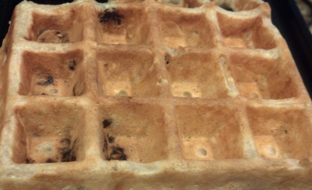 Oatmeal/Raisin  Waffle