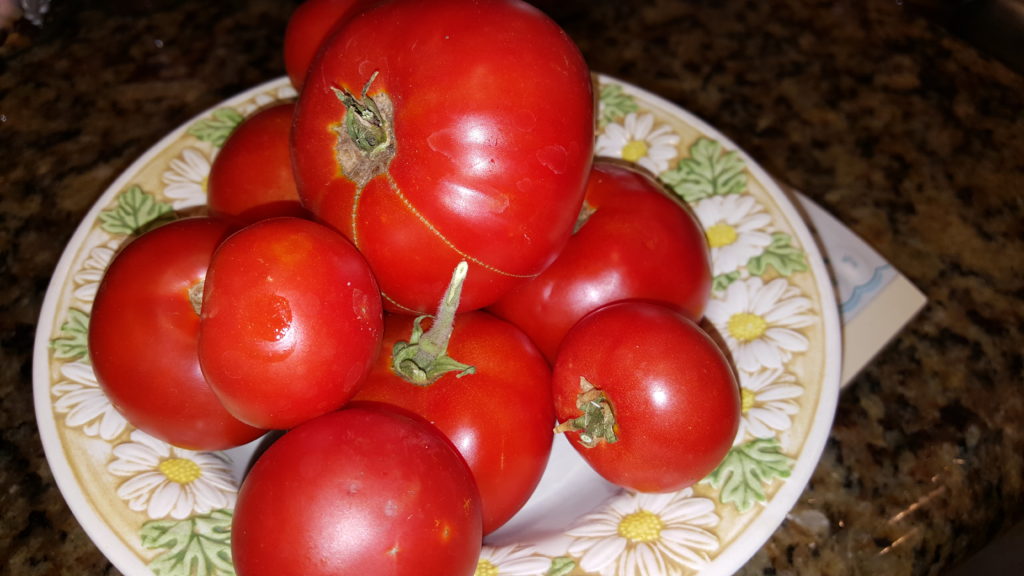 2 lbs. Garden Tomatoes